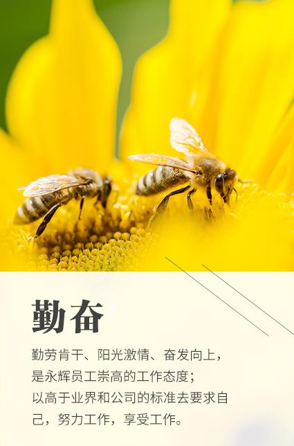 东升国际(中国游)官网 - 首页入口