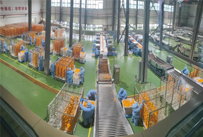 东升国际(中国游)官网 - 首页入口