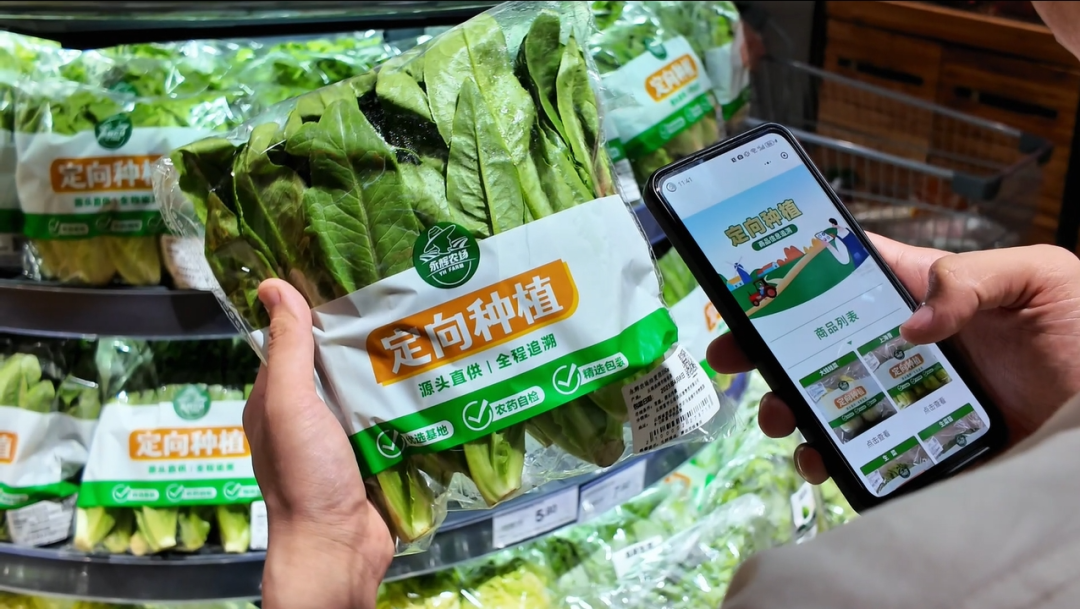 东升国际(中国游)官网 - 首页入口