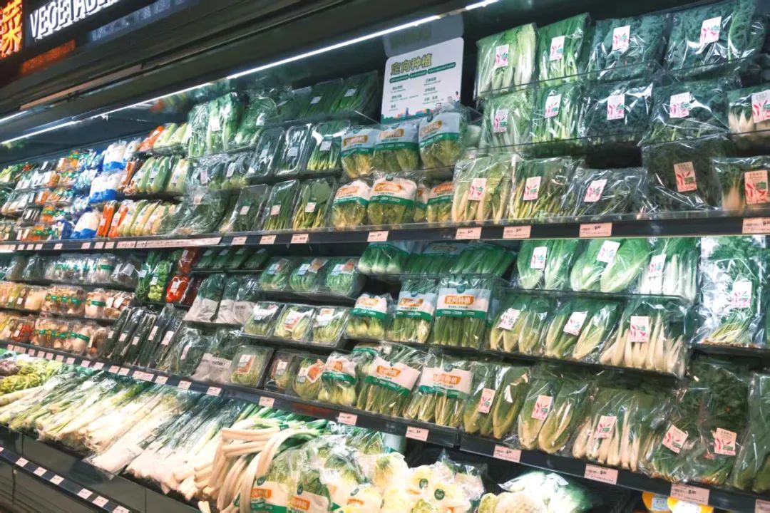 东升国际(中国游)官网 - 首页入口