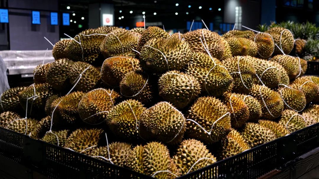 东升国际(中国游)官网 - 首页入口