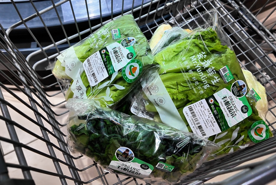 东升国际(中国游)官网 - 首页入口