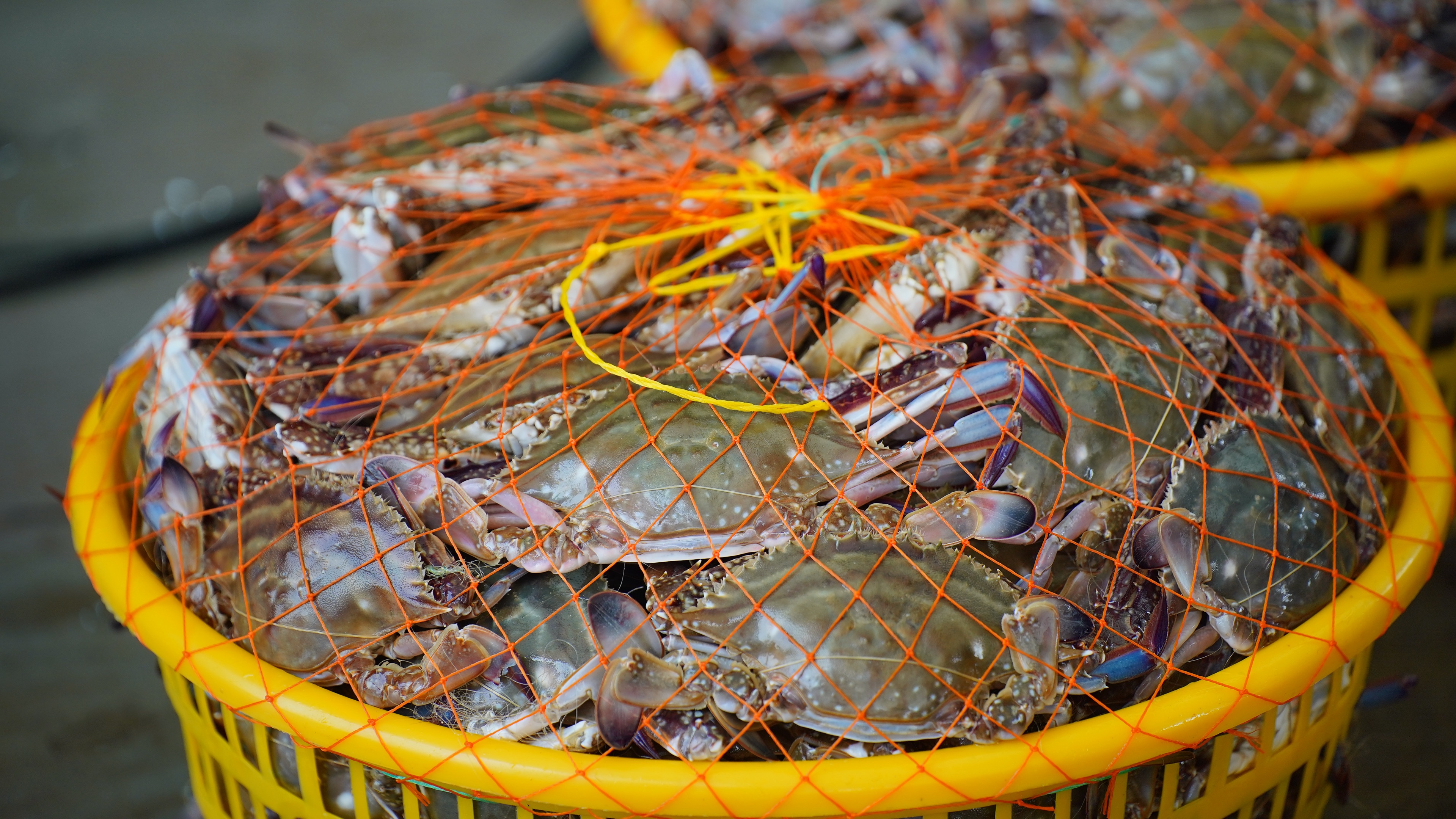 东升国际(中国游)官网 - 首页入口