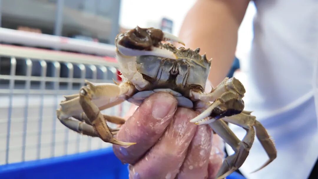 东升国际(中国游)官网 - 首页入口