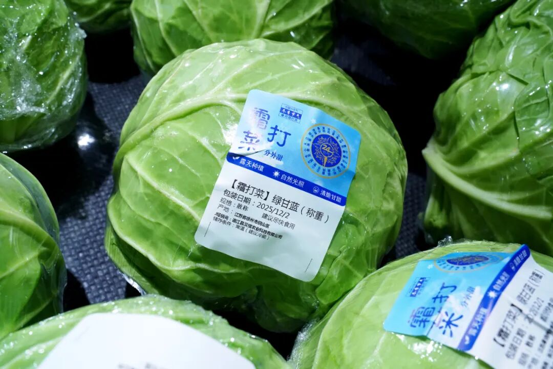 东升国际(中国游)官网 - 首页入口