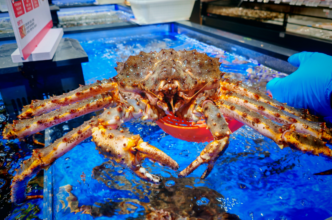 东升国际(中国游)官网 - 首页入口