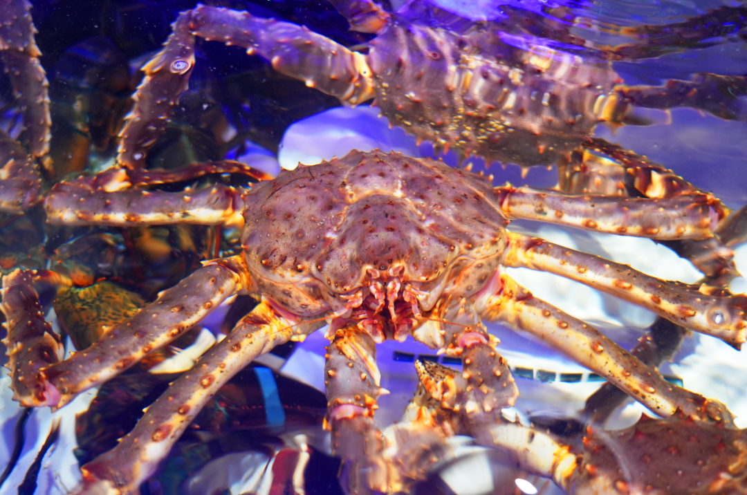 东升国际(中国游)官网 - 首页入口