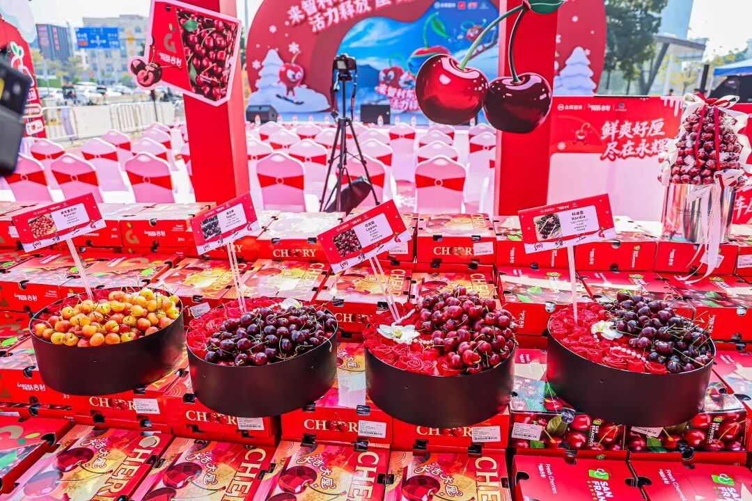 东升国际(中国游)官网 - 首页入口