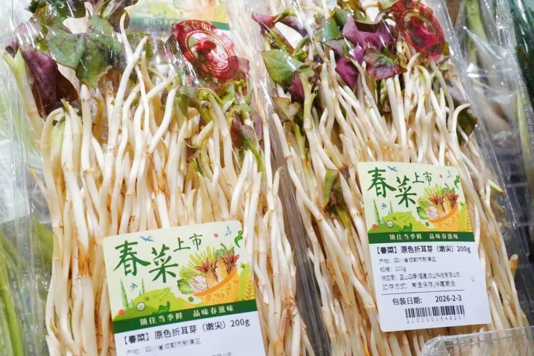 东升国际(中国游)官网 - 首页入口