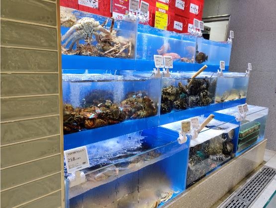 东升国际(中国游)官网 - 首页入口