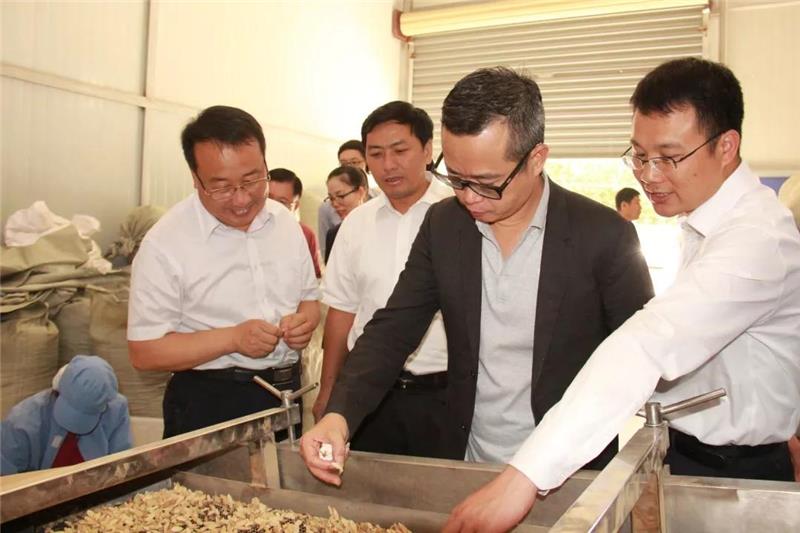 东升国际(中国游)官网 - 首页入口