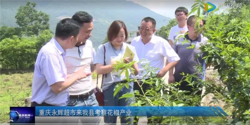 东升国际(中国游)官网 - 首页入口