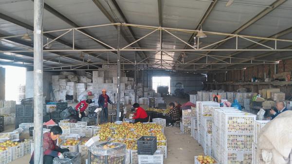 东升国际(中国游)官网 - 首页入口