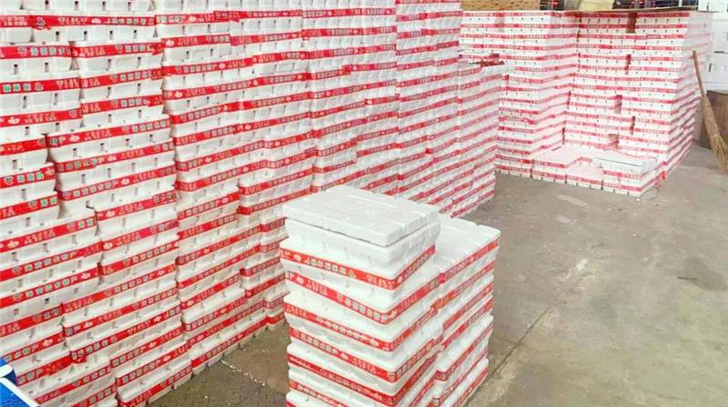 东升国际(中国游)官网 - 首页入口