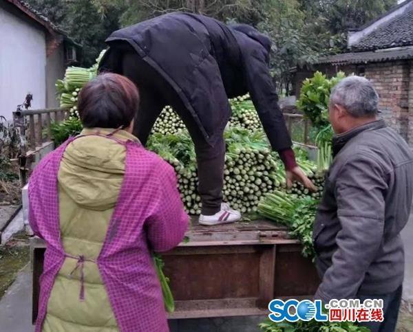 东升国际(中国游)官网 - 首页入口