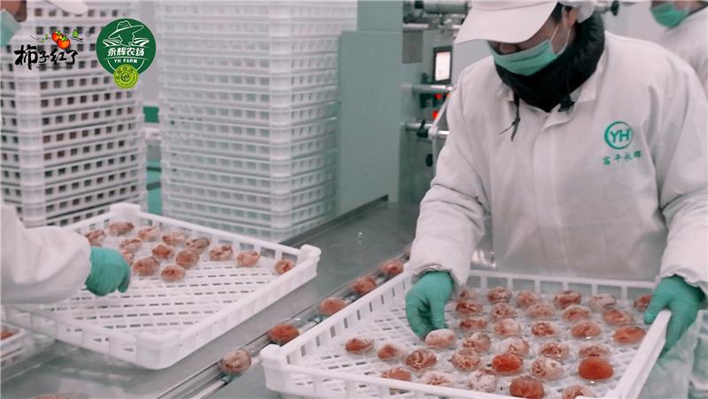 东升国际(中国游)官网 - 首页入口