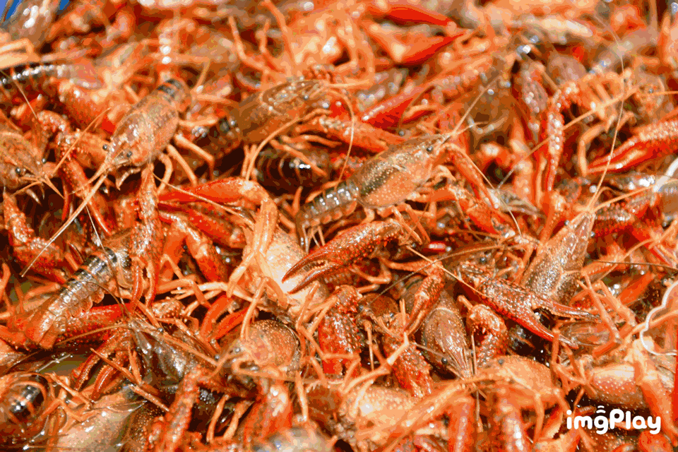 东升国际(中国游)官网 - 首页入口