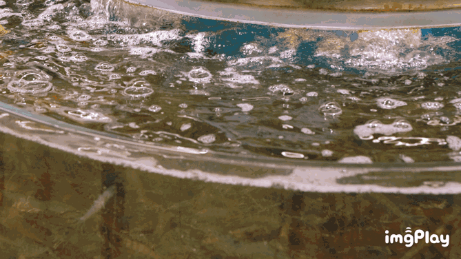 东升国际(中国游)官网 - 首页入口