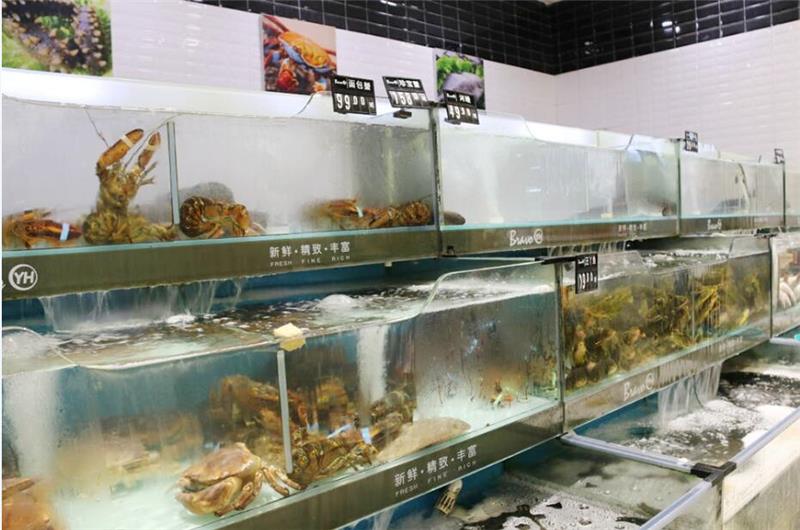 东升国际(中国游)官网 - 首页入口