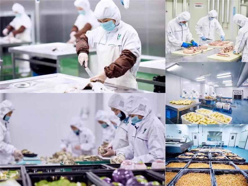 东升国际(中国游)官网 - 首页入口