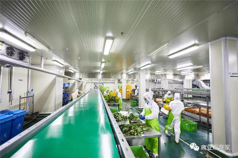 东升国际(中国游)官网 - 首页入口