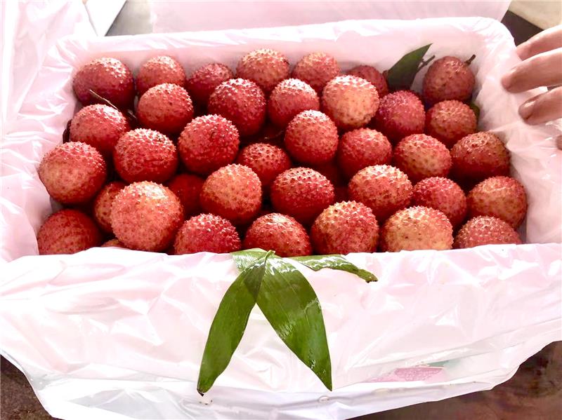 东升国际(中国游)官网 - 首页入口