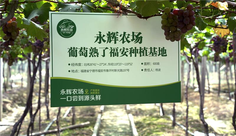 东升国际(中国游)官网 - 首页入口