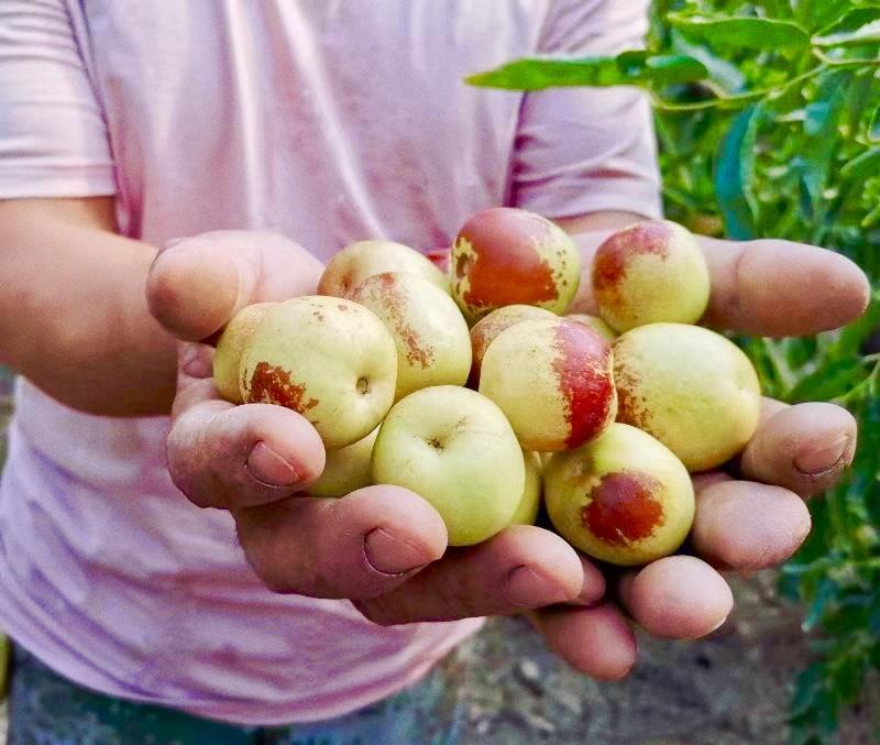 东升国际(中国游)官网 - 首页入口