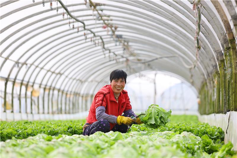 东升国际(中国游)官网 - 首页入口