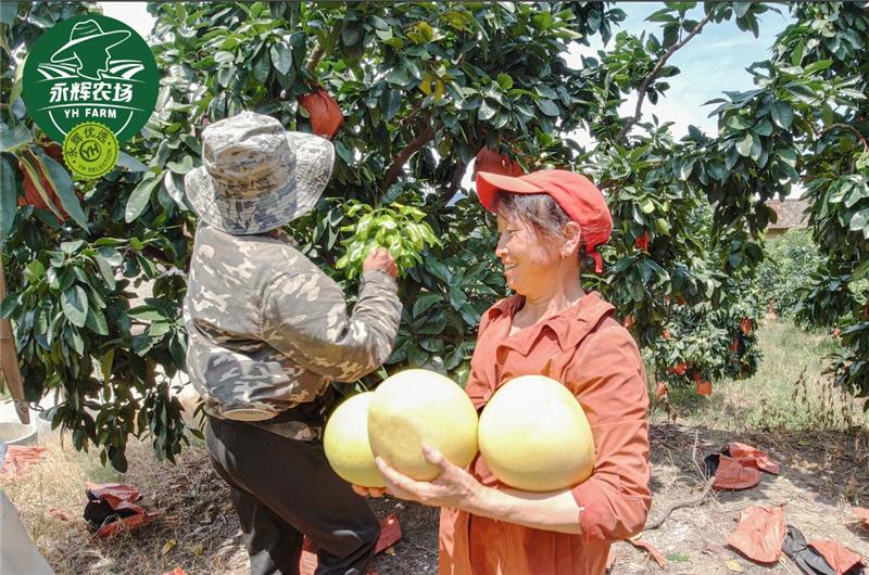 东升国际(中国游)官网 - 首页入口