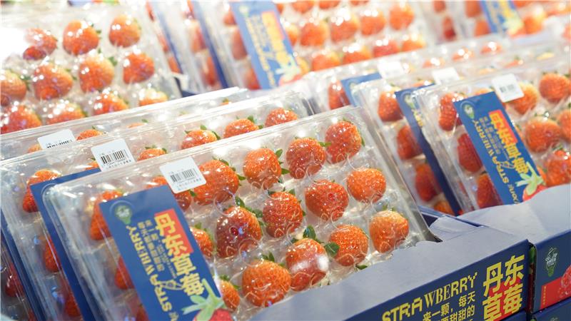 东升国际(中国游)官网 - 首页入口