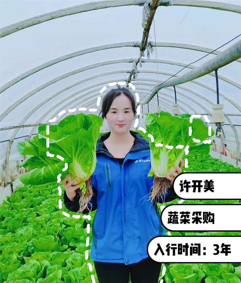 东升国际(中国游)官网 - 首页入口