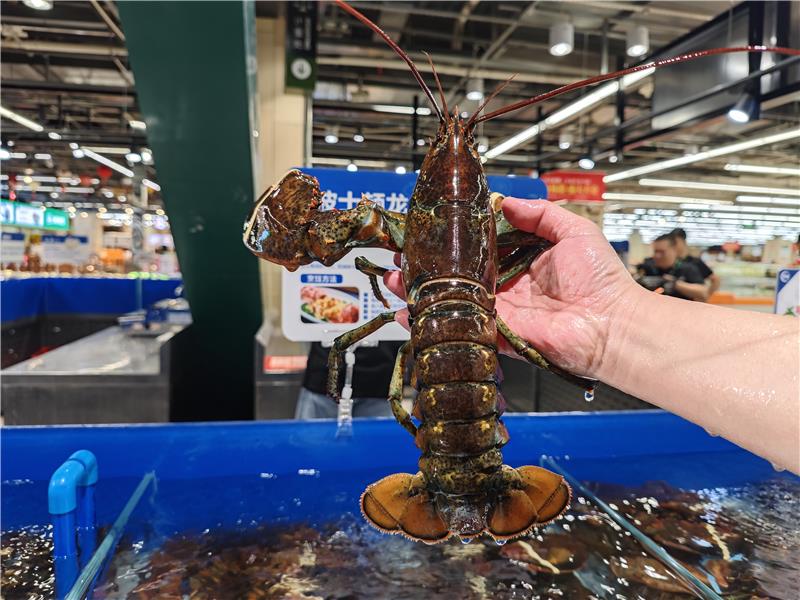 东升国际(中国游)官网 - 首页入口