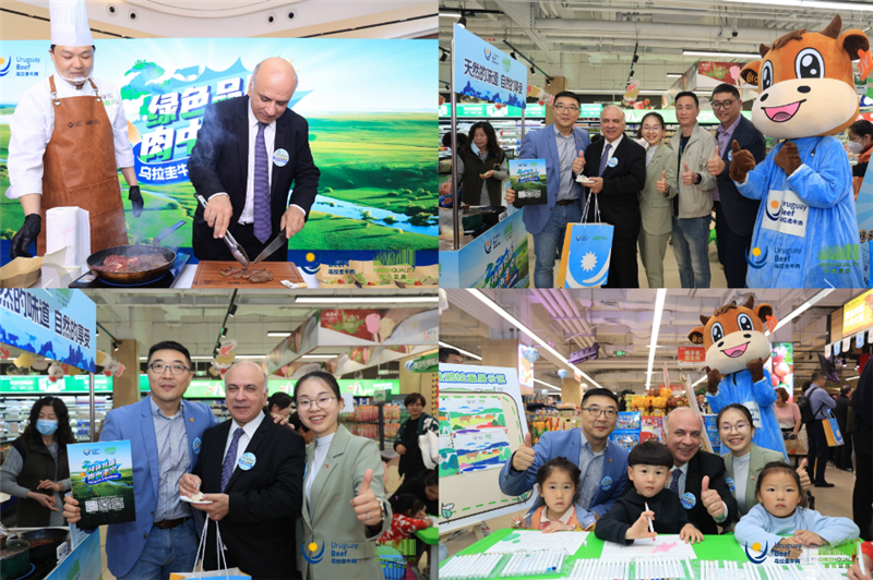 东升国际(中国游)官网 - 首页入口