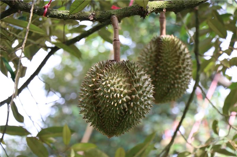 东升国际(中国游)官网 - 首页入口