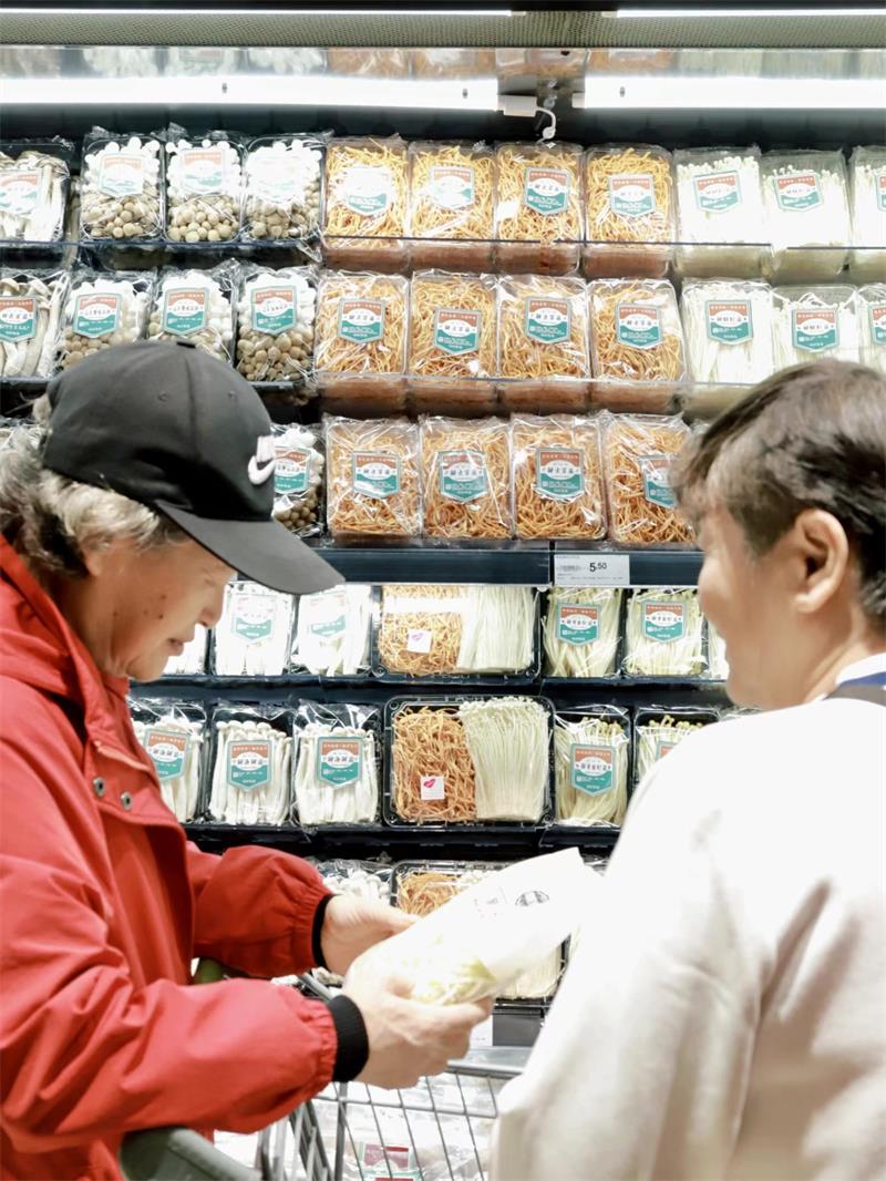 东升国际(中国游)官网 - 首页入口