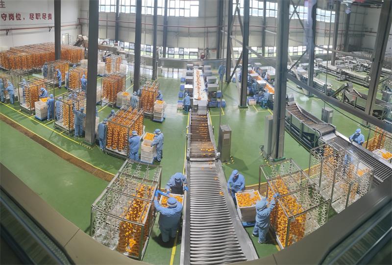 东升国际(中国游)官网 - 首页入口