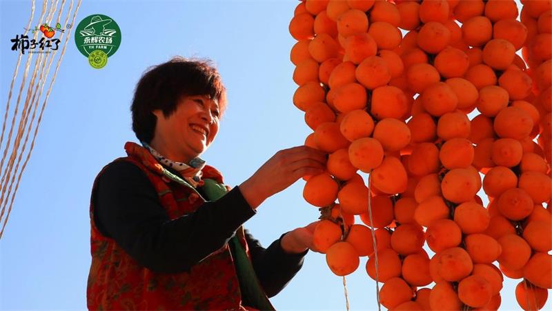 东升国际(中国游)官网 - 首页入口