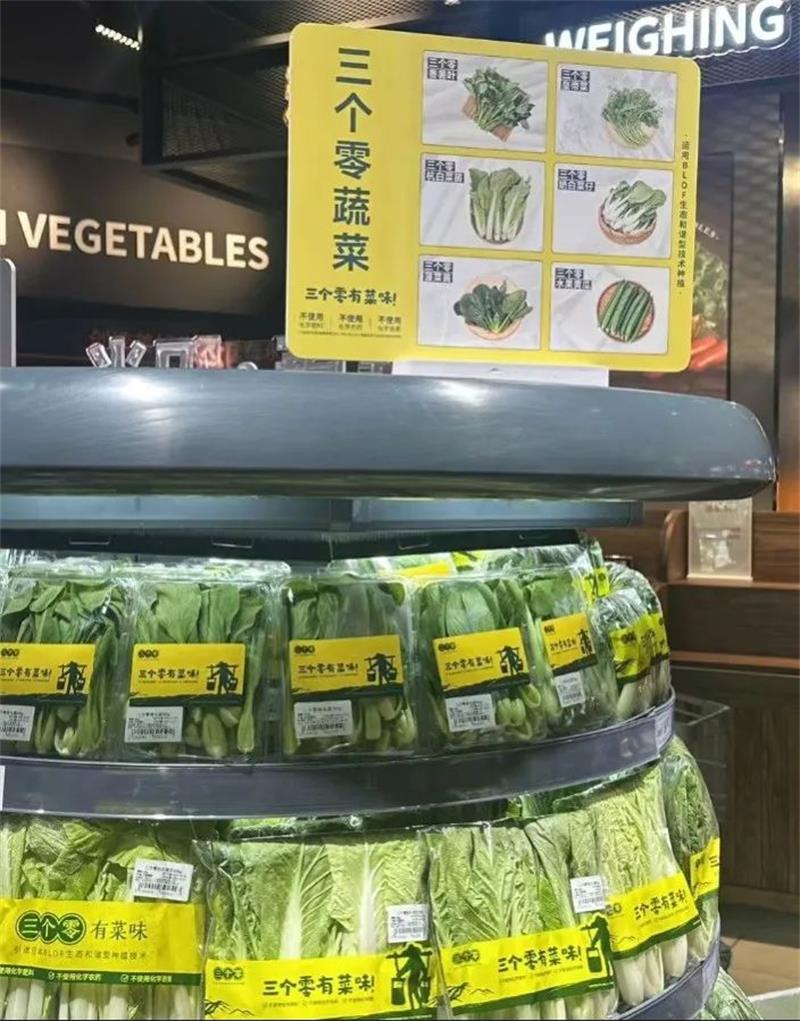 东升国际(中国游)官网 - 首页入口