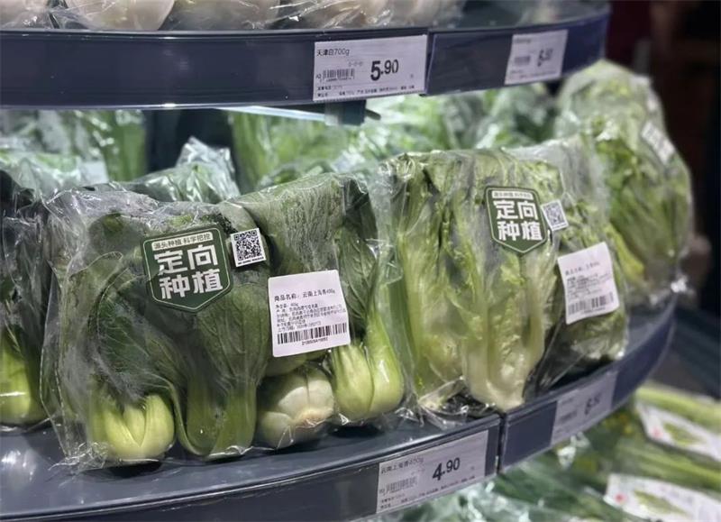 东升国际(中国游)官网 - 首页入口