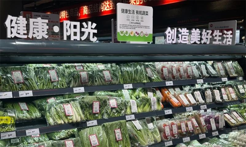 东升国际(中国游)官网 - 首页入口