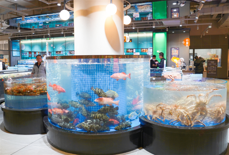 东升国际(中国游)官网 - 首页入口